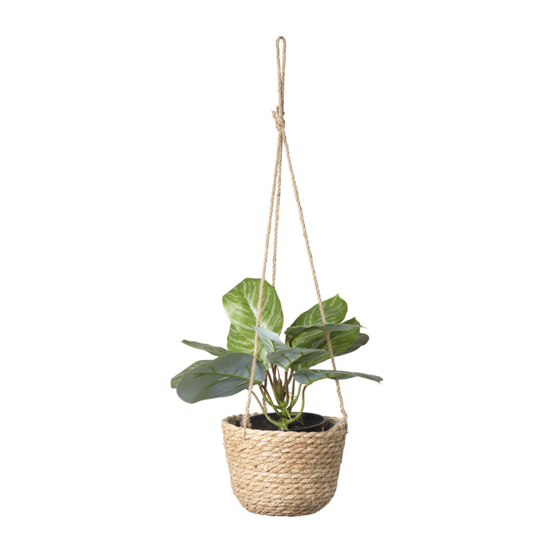 Hangbloempot Boris - &Oslash;18x14 cm