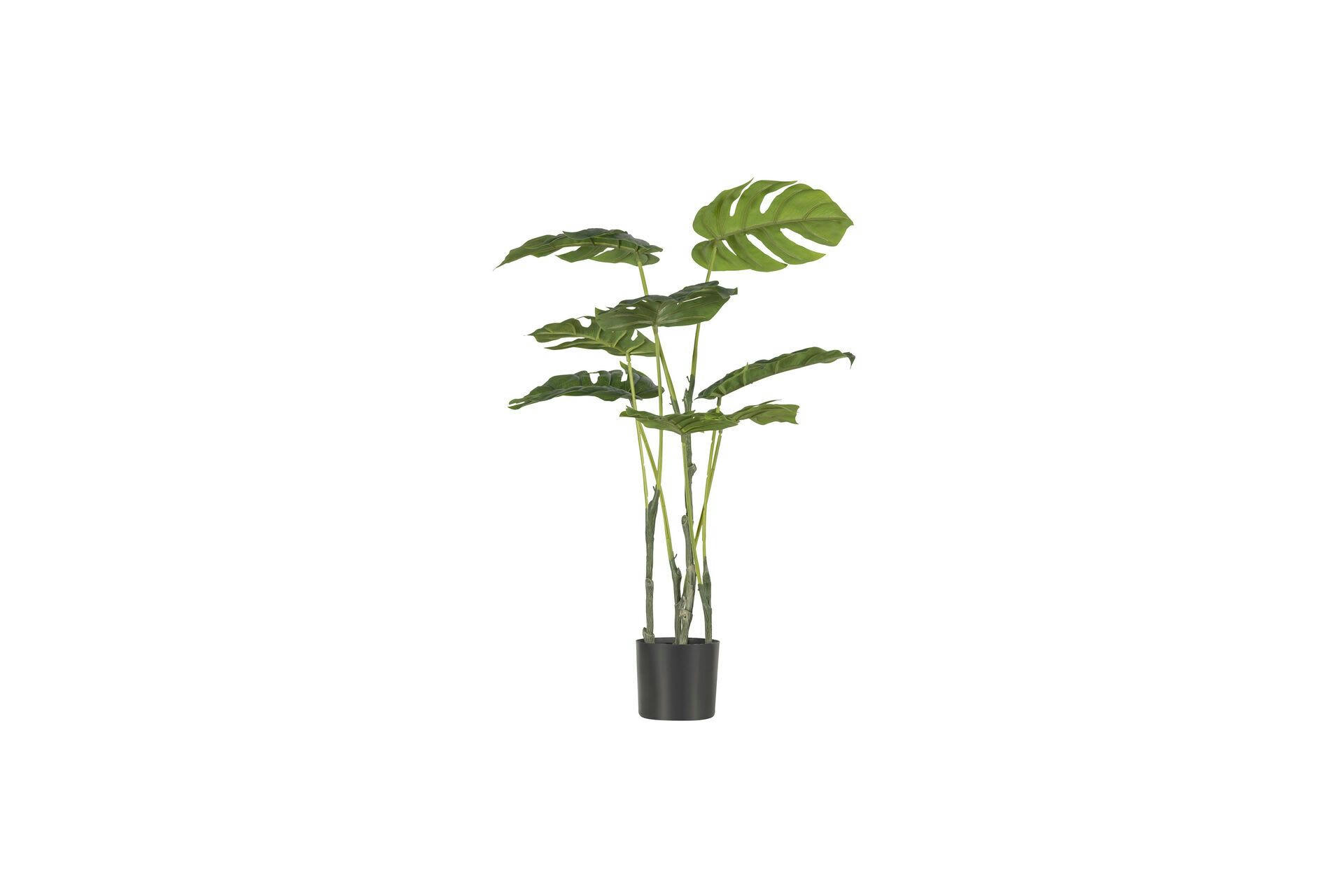 MONSTRERA - Plante artificielle verte H76