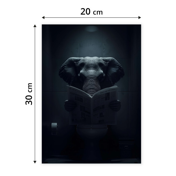 Plakat Słoń z gazetą 20x30cm
