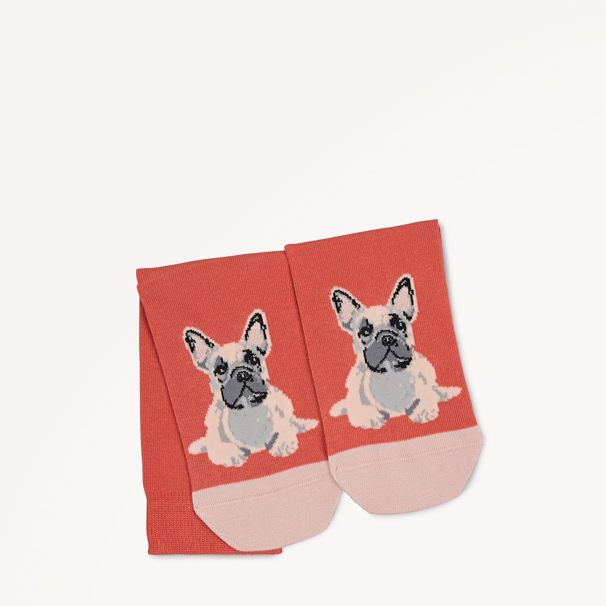 Radley & Friends - 1 Pack Socks