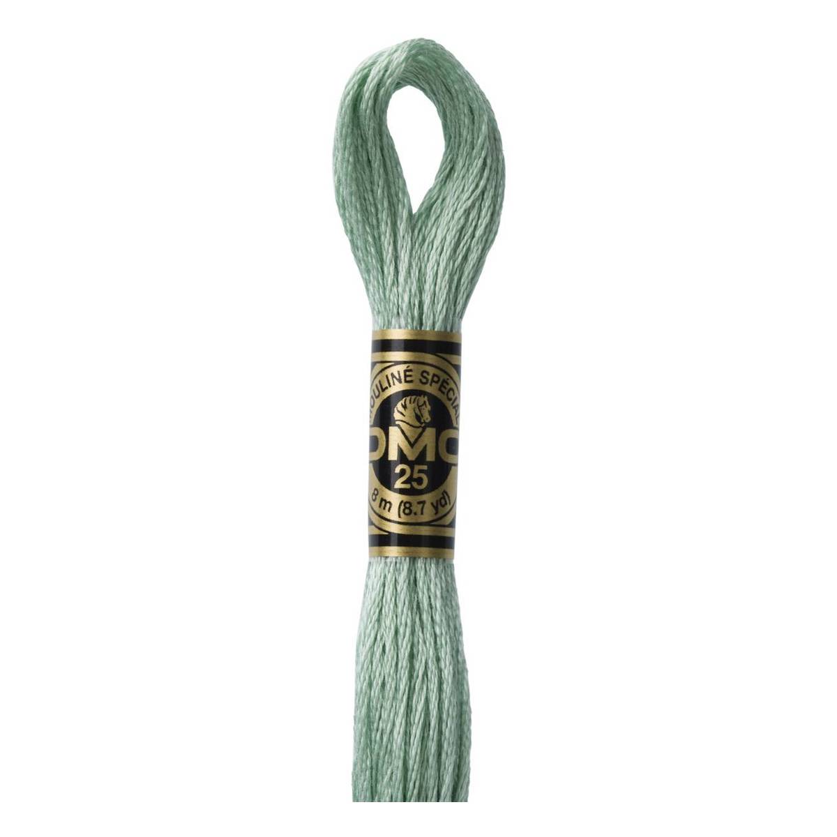 DMC Green Mouline Special 25 Cotton Thread 8m (3817)