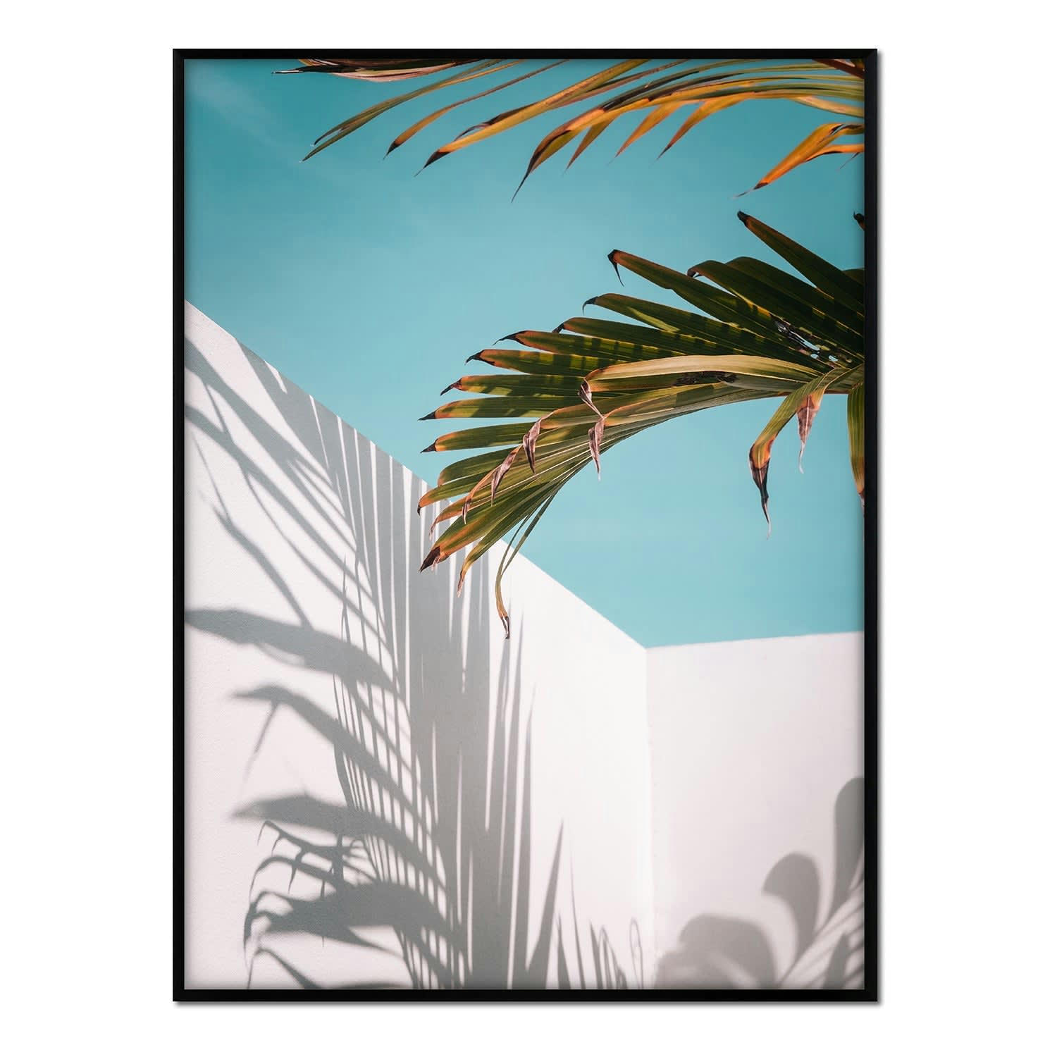 PALMERAS - Affiche avec cadre noir - Détail palmier - 30x40
