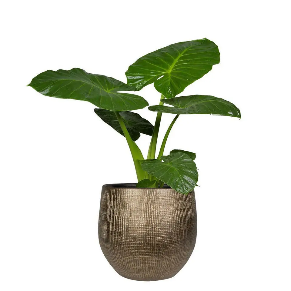 Steege Plantenpot - modern design - goudkleurig - 32 x 36 cm