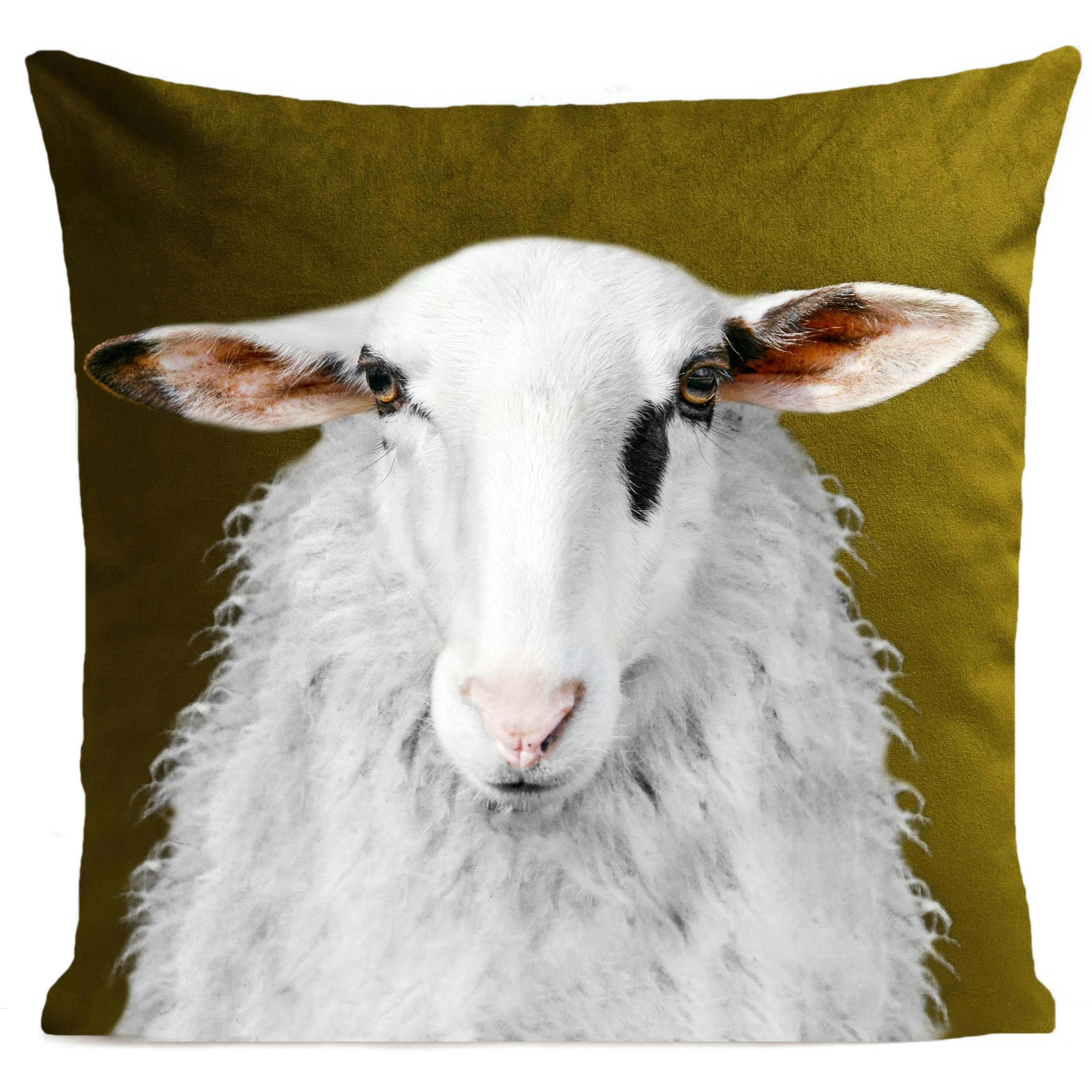 - Coussin campagne mouton suédine vert 40x40cm