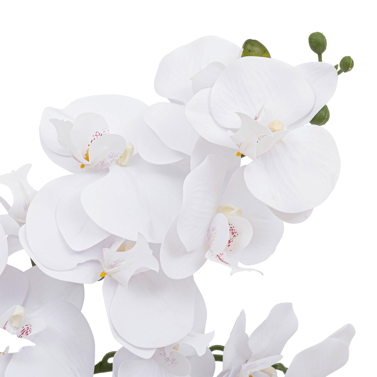 "Dena" artificial orchid Terracotta pot, H.65 cm