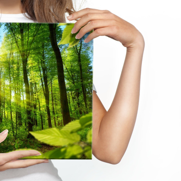 Obraz do Sypialni Wschód Słońca w Lesie 3D 30x20cm