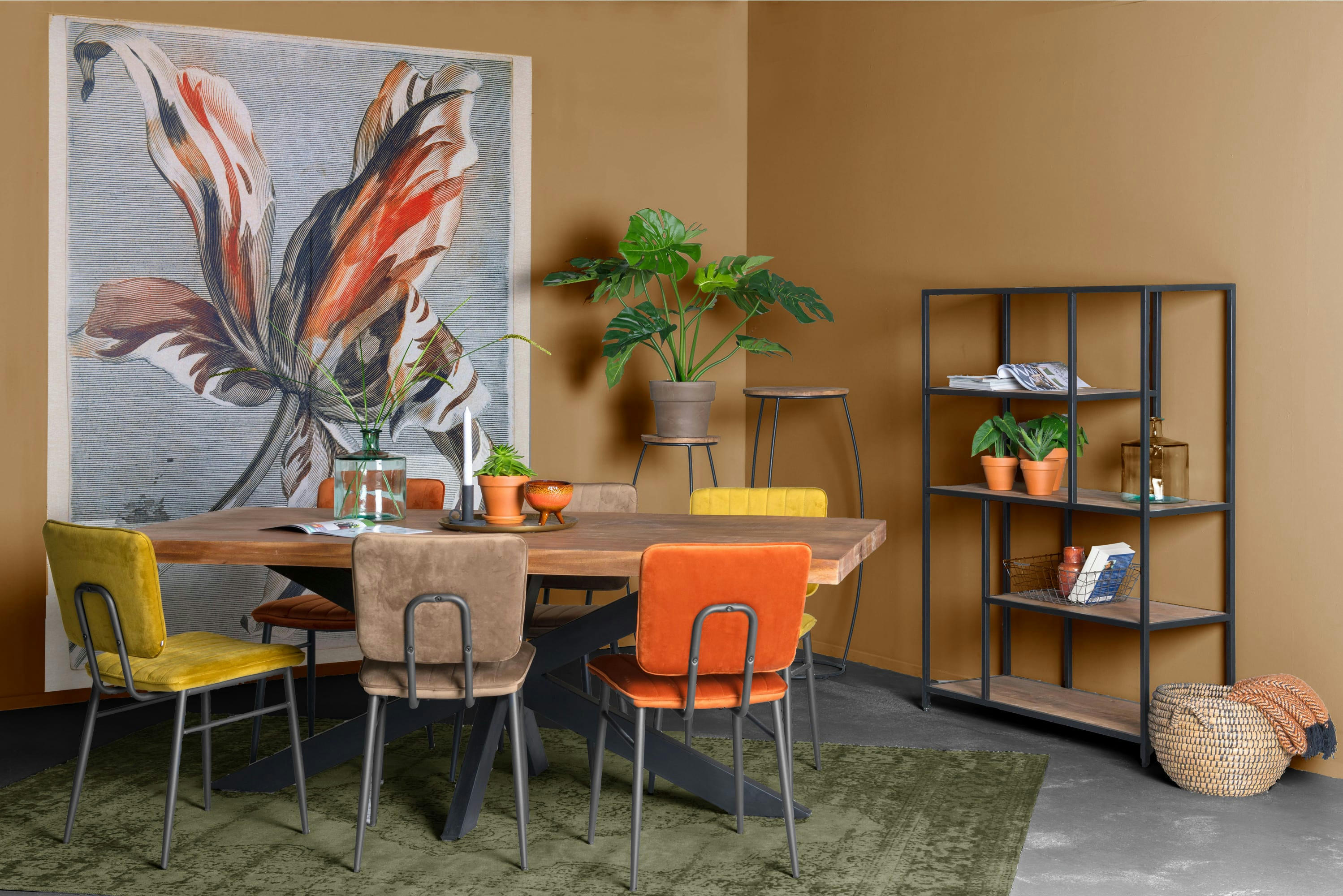 DACCA - DACCA-Table à manger 10/12 personnes L240, Manguier massif et métal