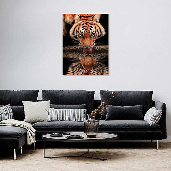 Affiche tigre Dada Art l.60 x H.80 cm