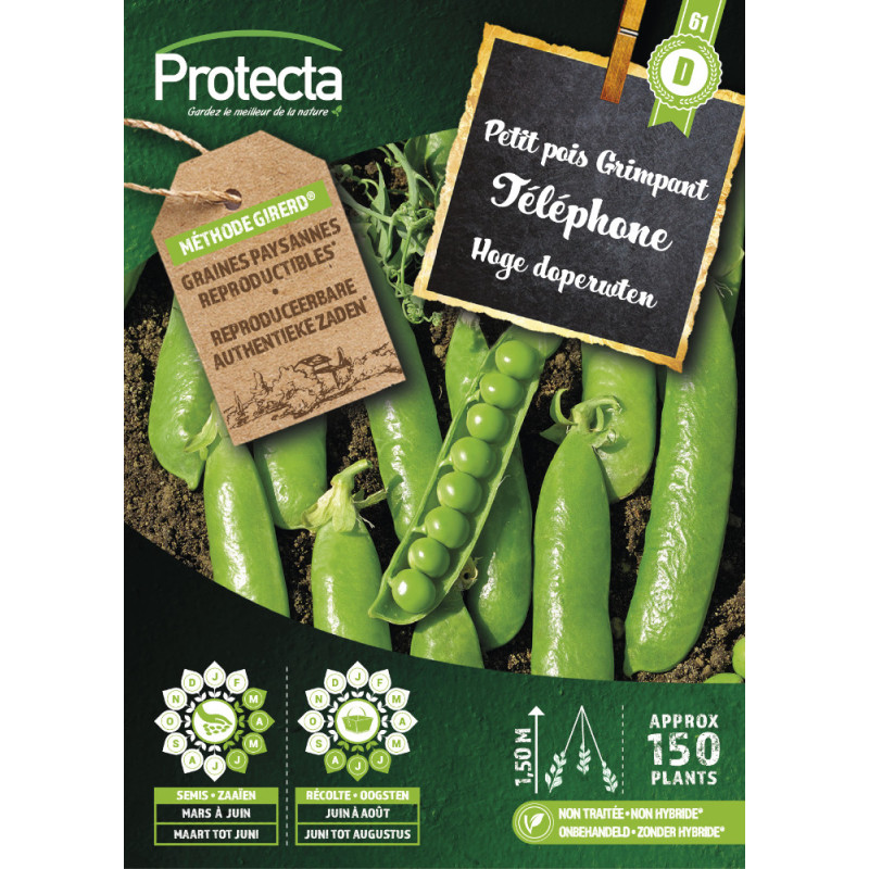 Semences de petit pois Grimpant Téléphone PROTECTA