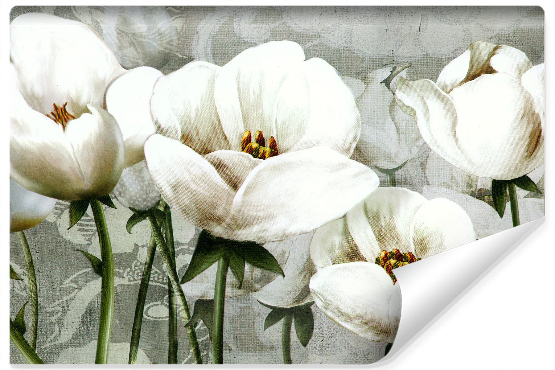 Fototapeta BIAŁE Tulipany Malunek Ozdoba 90x60cm