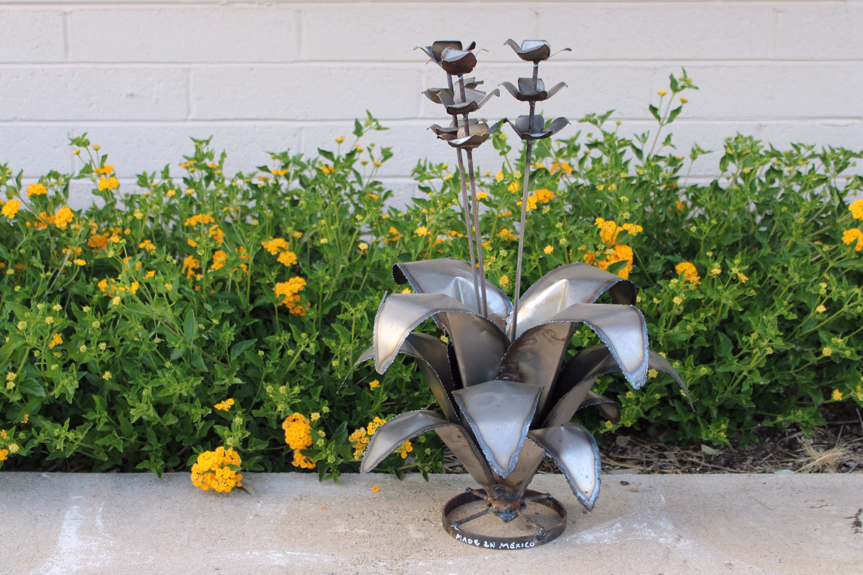 Handcrafted Metal Agave Sculpture: Rustic Arizona Desert Cactus Yard Art