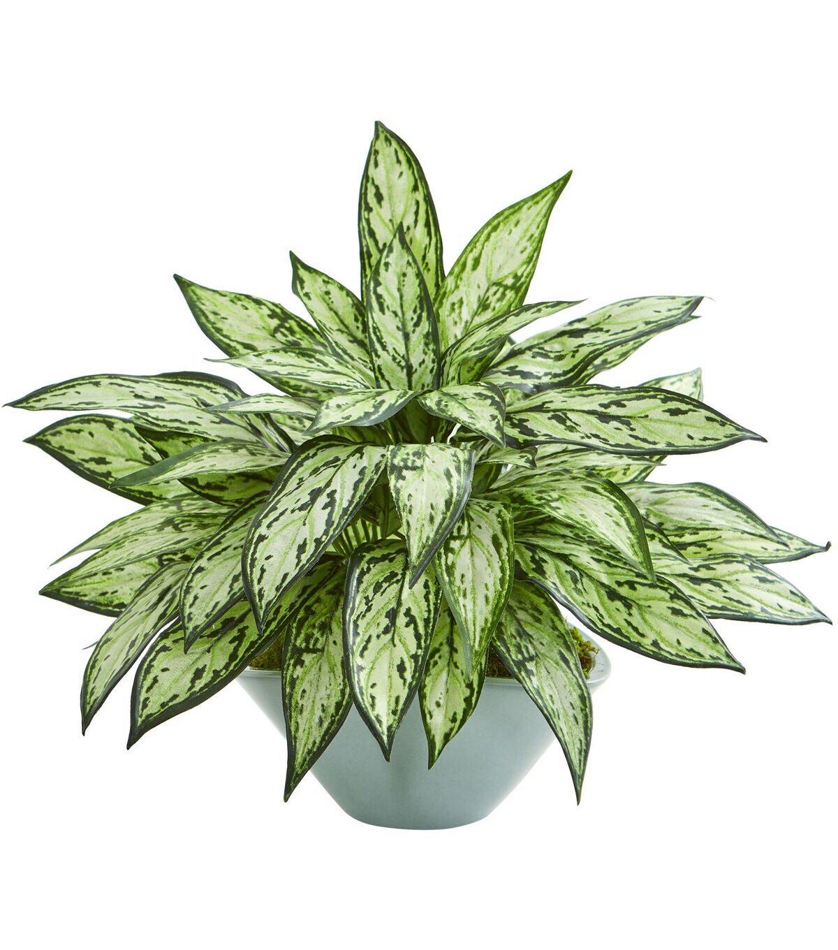 Nearly Natural 16 Silver Queen Artificial Plant in Green Vase