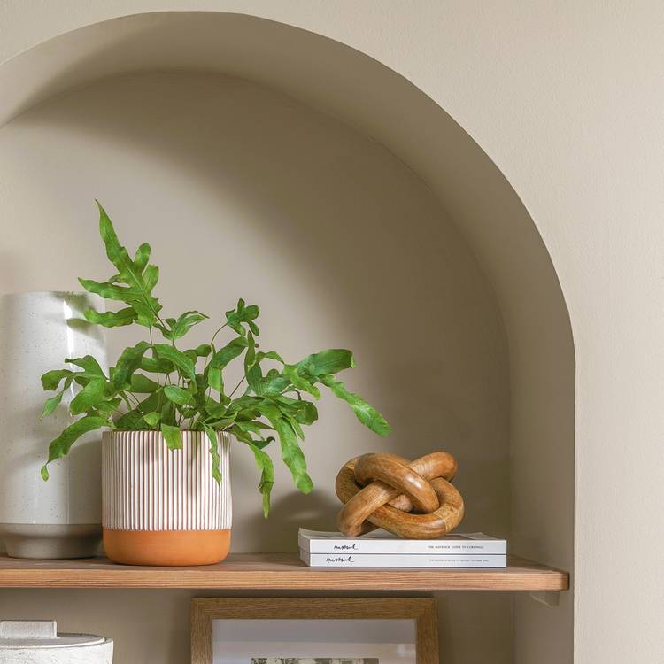 Habitat Hand Painted Terracotta Large Planter - Orange