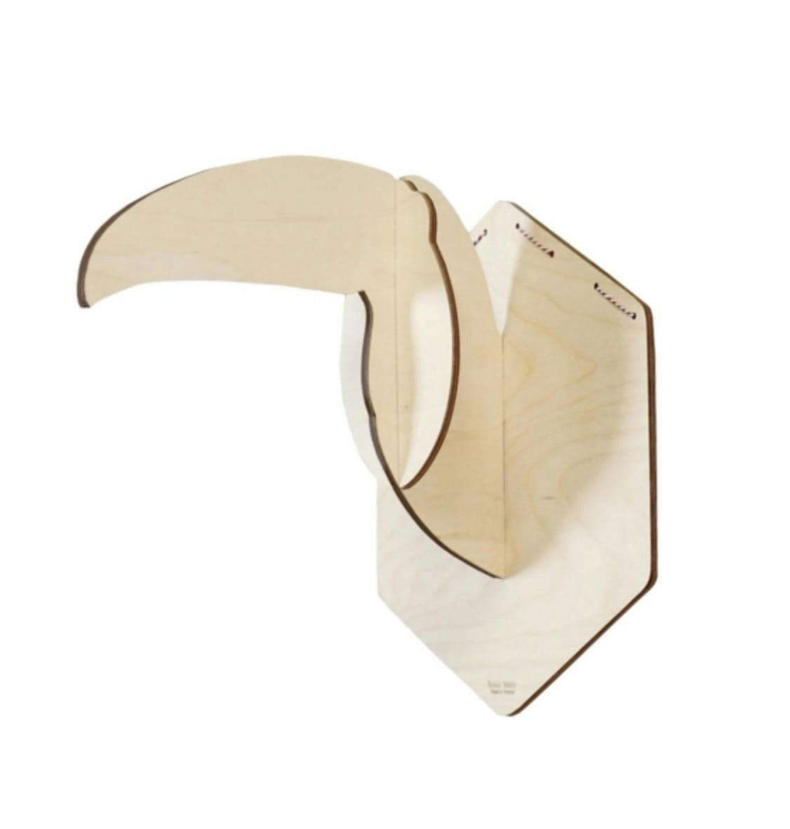 - Trophée toucan Toco S