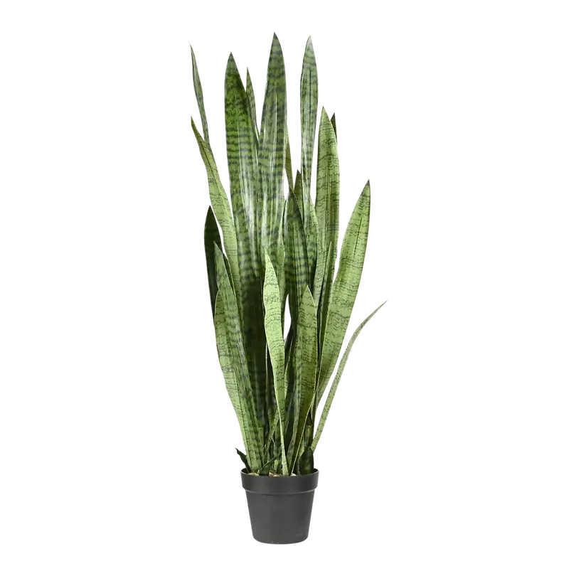Kunstpflanze Sanseveria