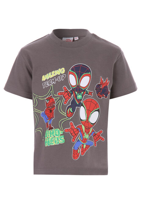 Younger Boys Charcoal Spidey Dinowebs Graphic Print T-Shirt