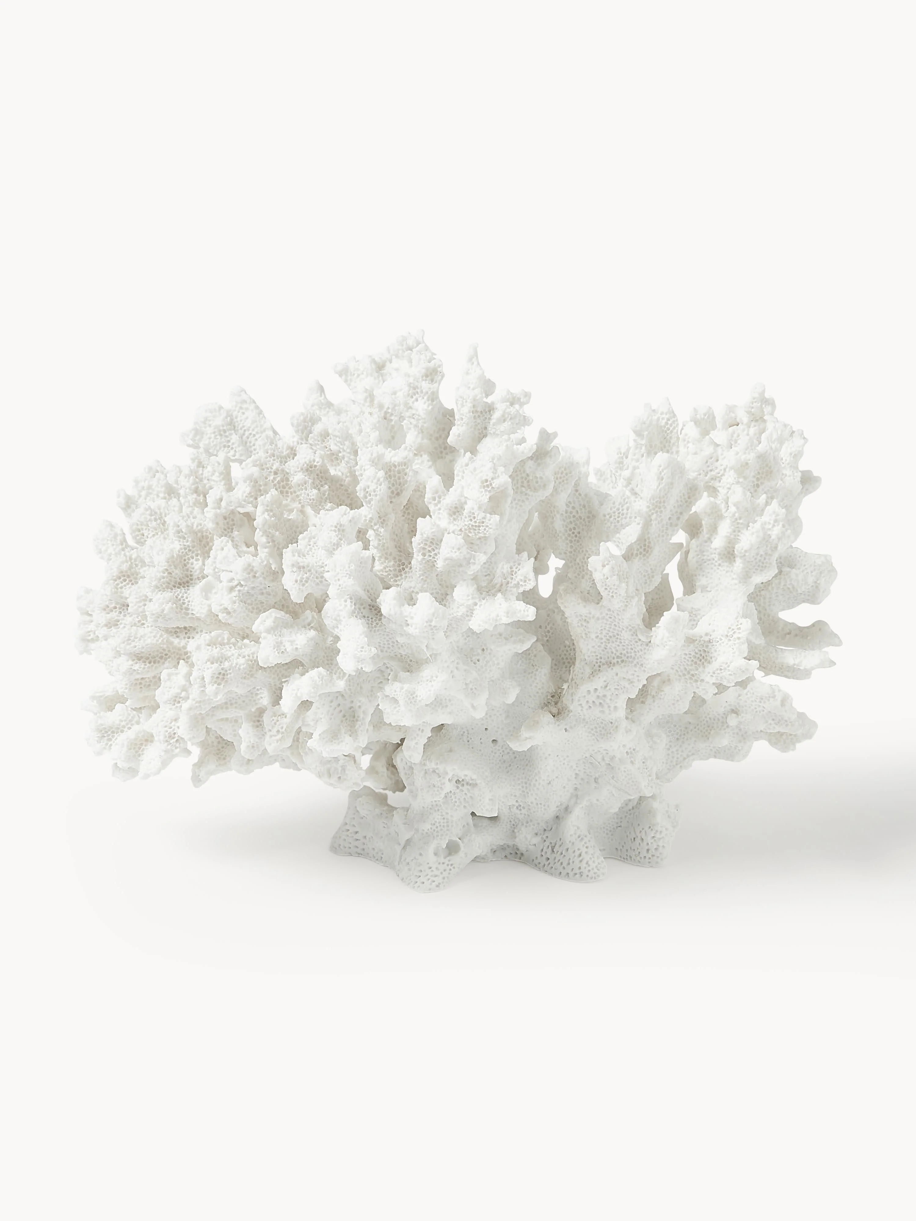 Design Deko-Objekt Coral