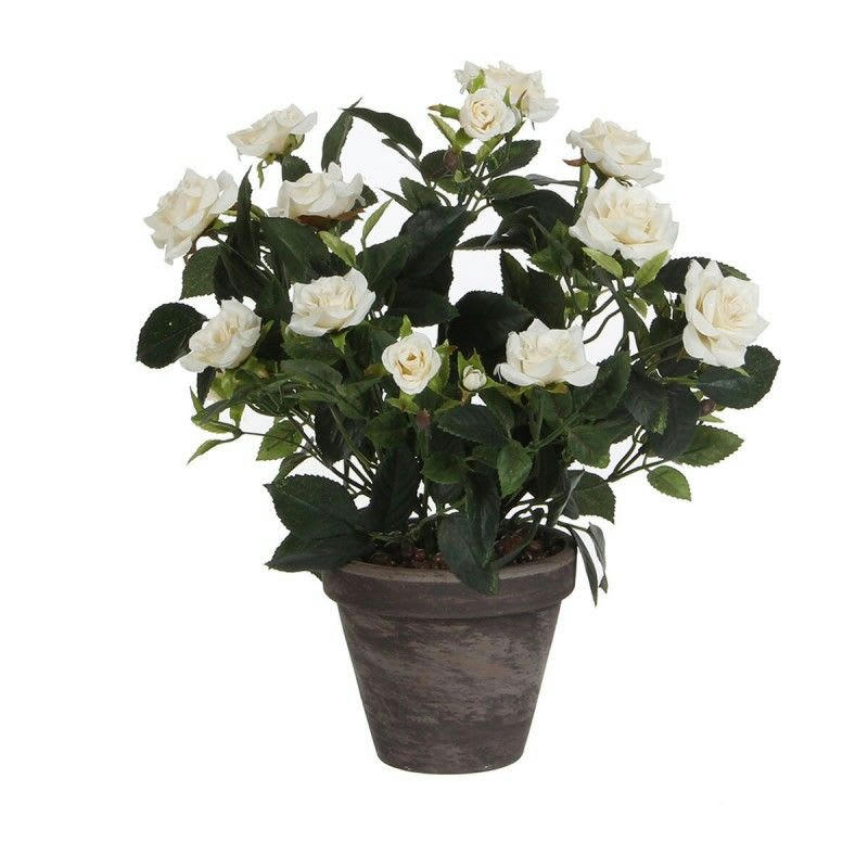- Rosier artificielle blanches en pot H33