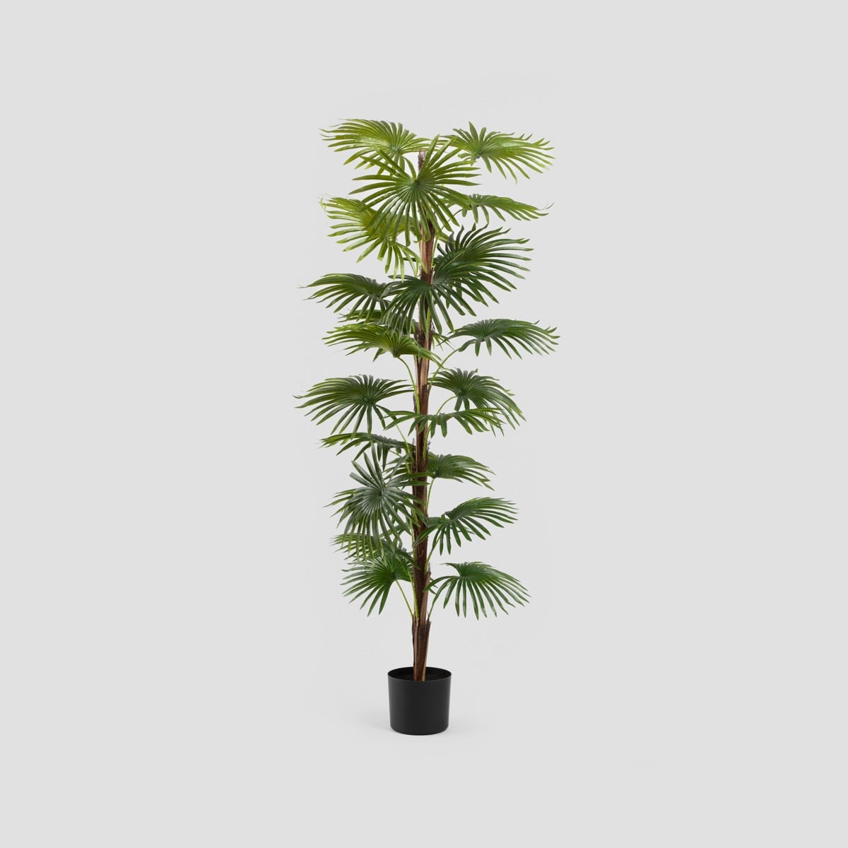 Roślina sztuczna TROPICAL ZONE palma wysoka 150 cm
