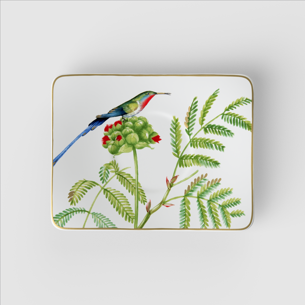 Amazonia Coffee cup saucer - Multi-colored, 6.9'' x 5.4'', Premium Bone Porcelain