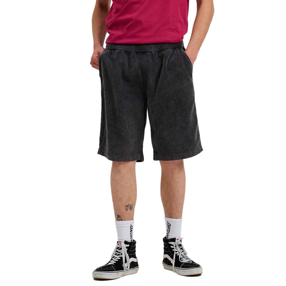 Santa Cruz Chill shorts