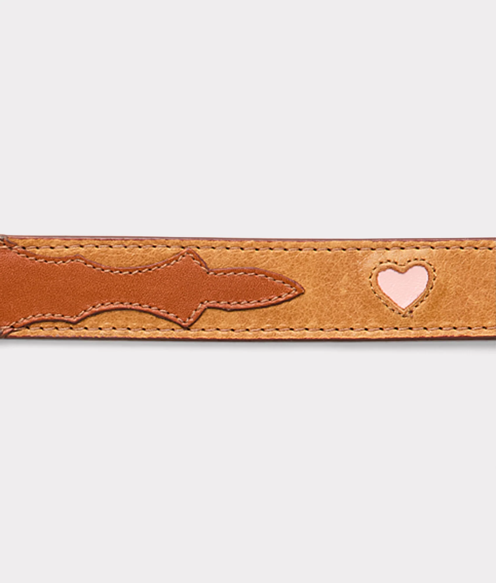 Large Dog Collar - Tan