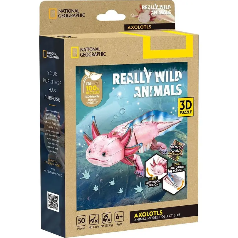 3D-Puzzle 50-teilig Axolotl
