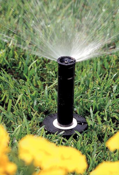 Rain Bird Half Circle Pattern Pop-Up Spray Head, 4-in