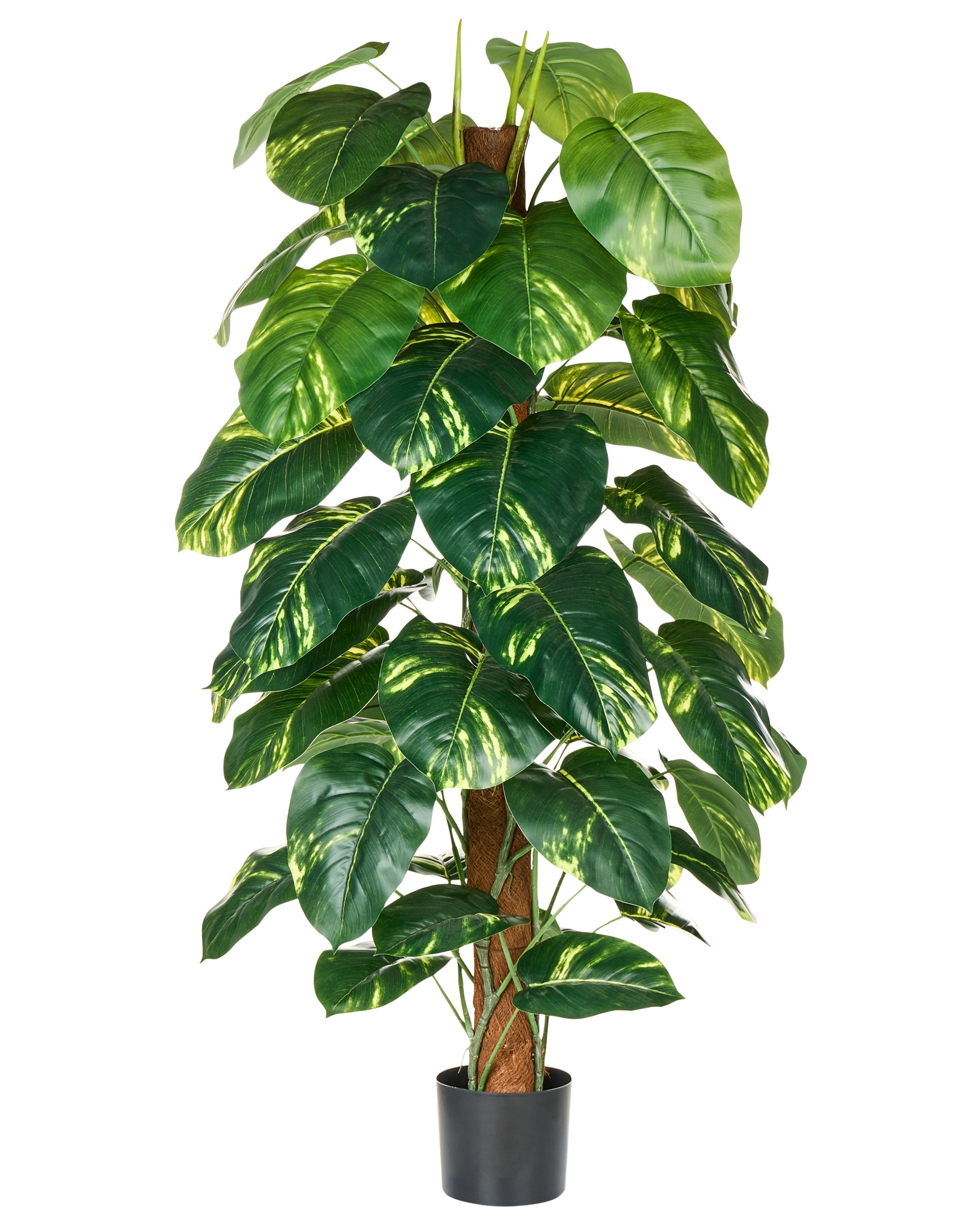 Sztuczna roślina DIEFFENBACHIA 152 cm Zielony