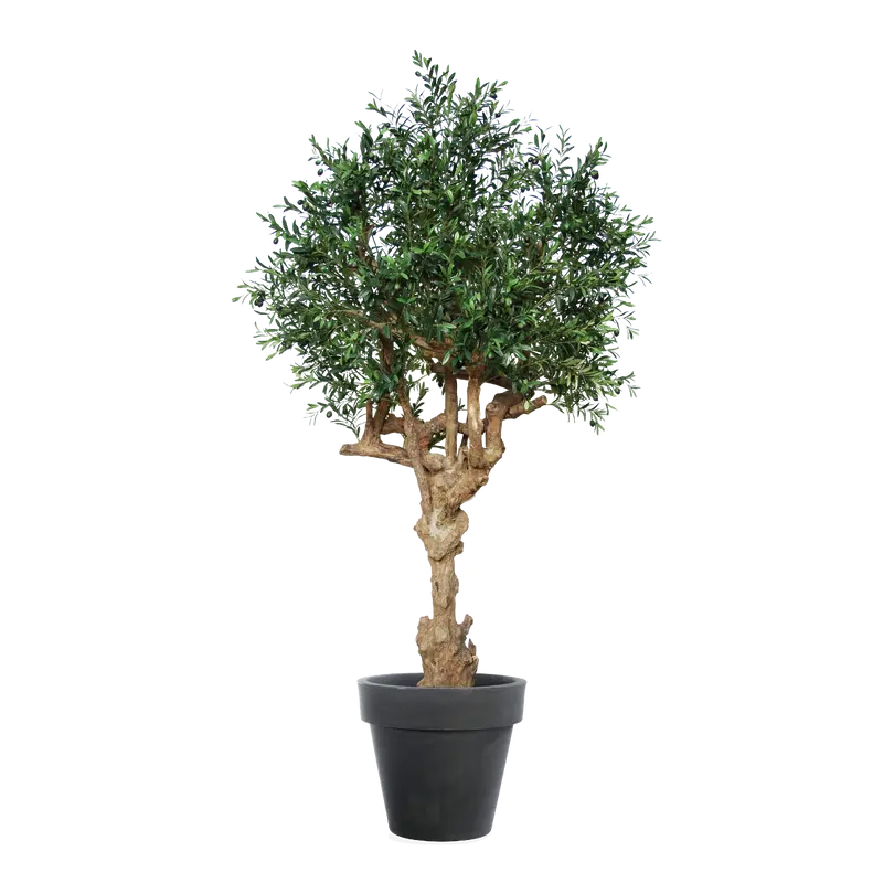 Kunstpflanze Olea europaea