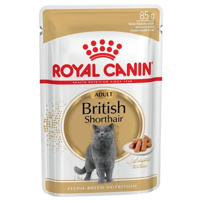 Royal Canin British Shorthair Adult in Gravy