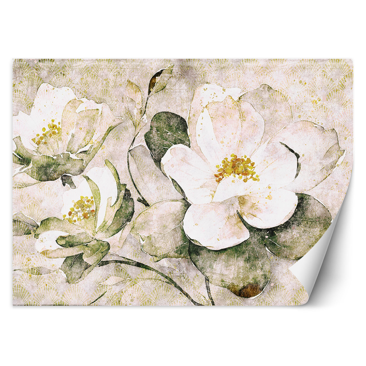 Feeby Fototapeta, Białe kwiaty natura 150x105