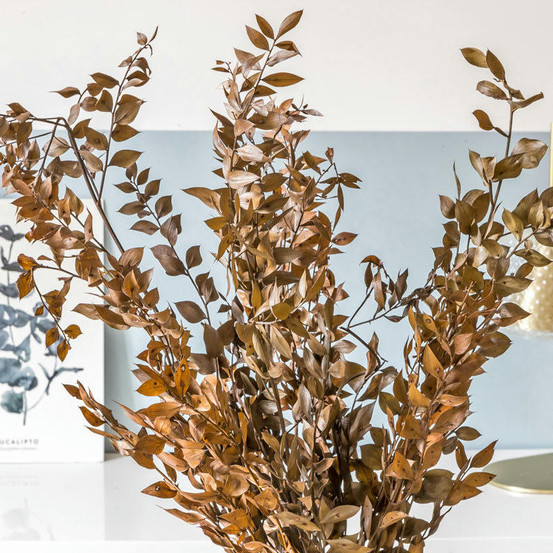 - Bouquet de fleurs séchées Ruscus brun