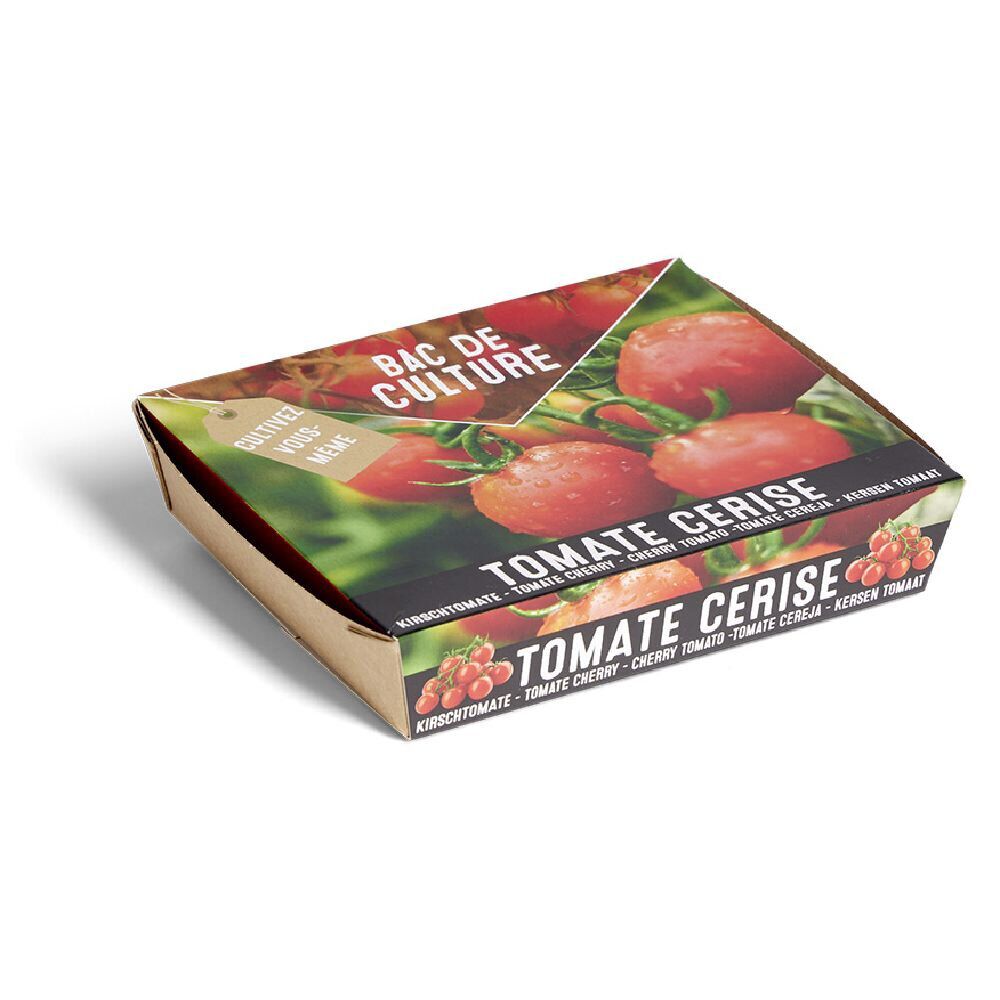 Bac de culture tomate cerise