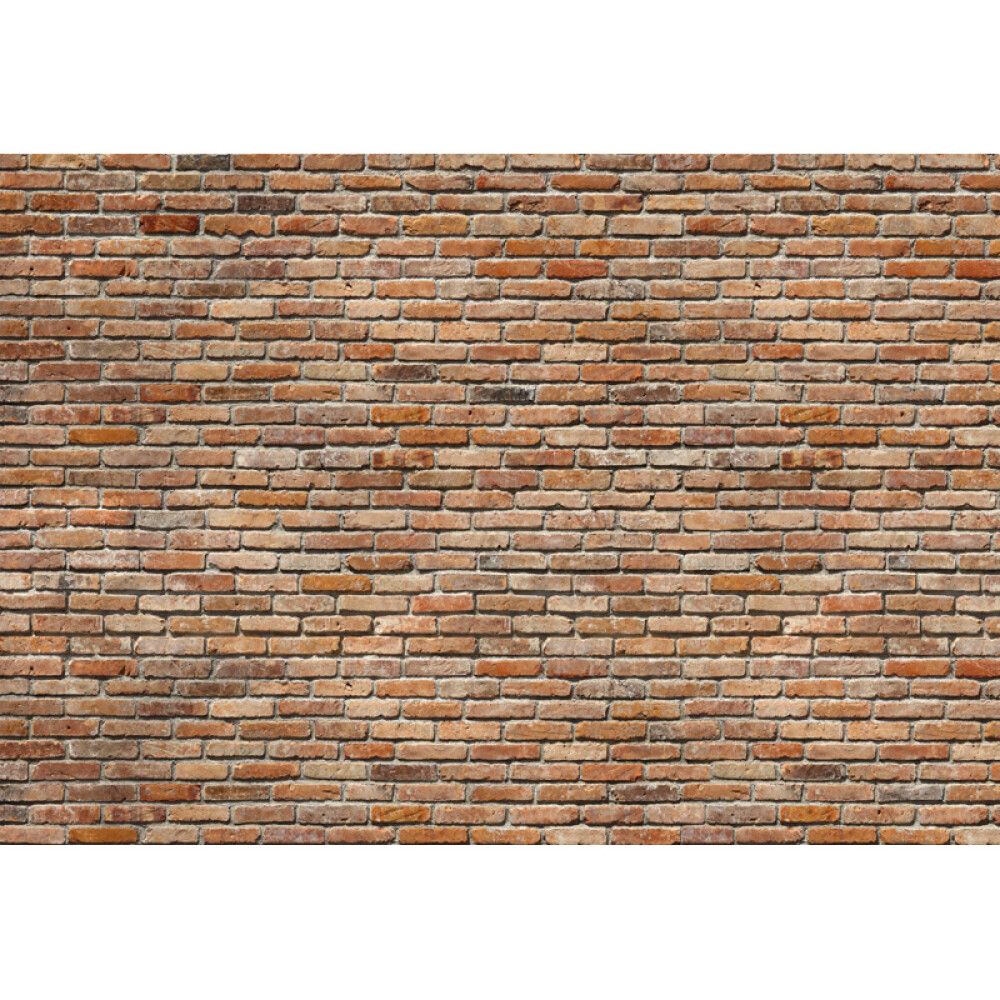 FOTOTAPET KOMAR BACKSTEIN