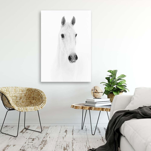 Feeby Obraz na płótnie Siwy koń 40x60