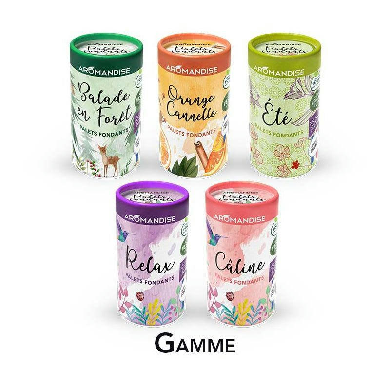 ORANGE ET CANNELLE - 6 palets fondants orange et cannelle