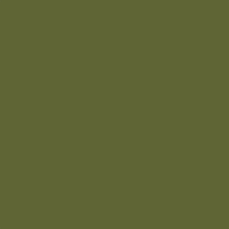 Peinture pour murs Colorissim vert matcha mat 2,5 L V33
