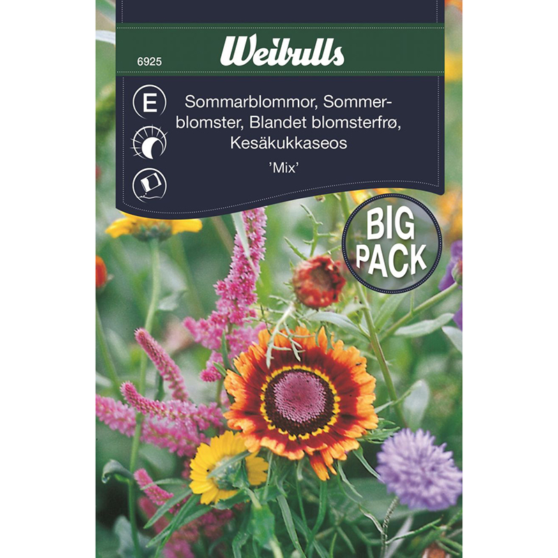 Sommarblommor mix, storpack
