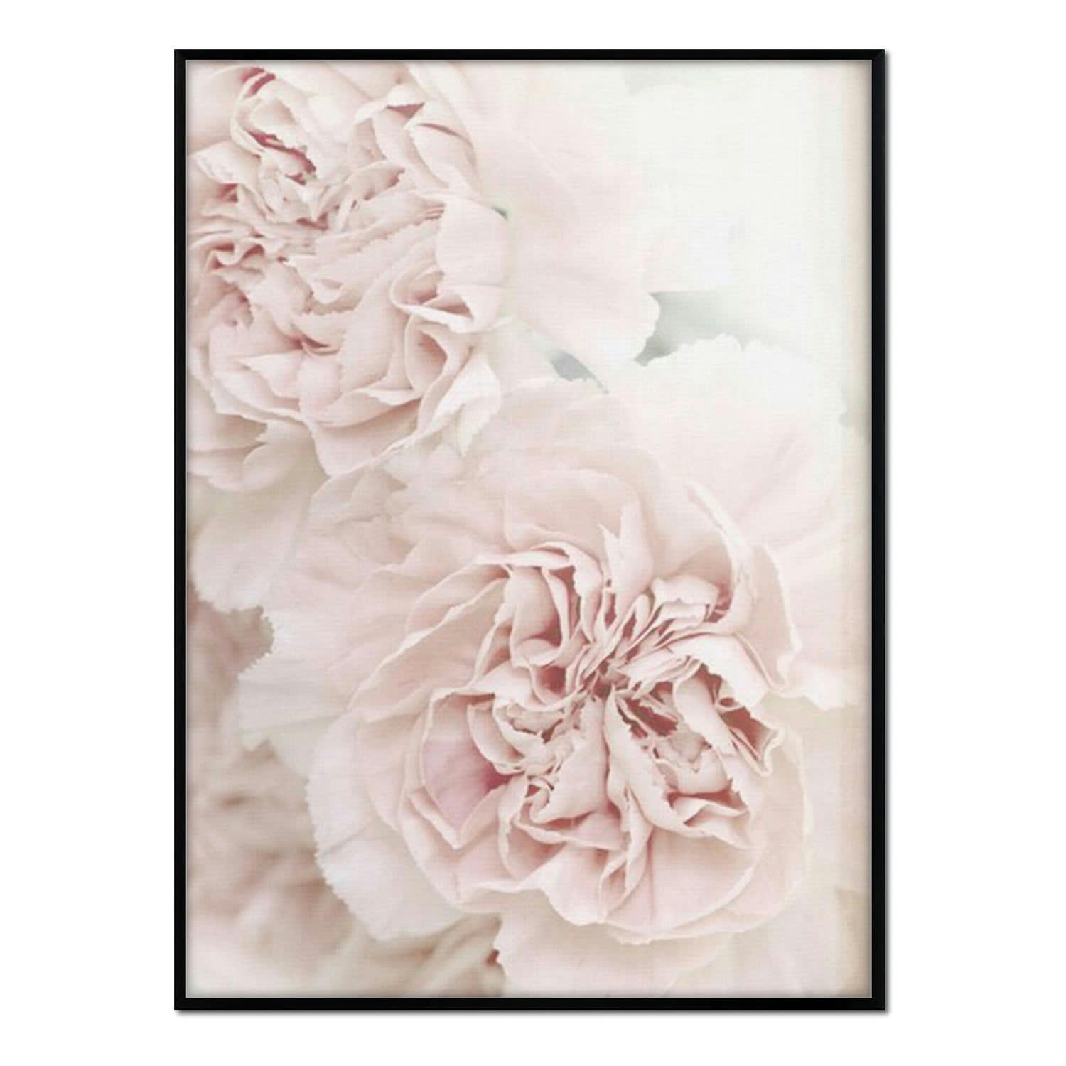 FLORES - Affiche avec cadre noir - Roses Blanches - 50x70