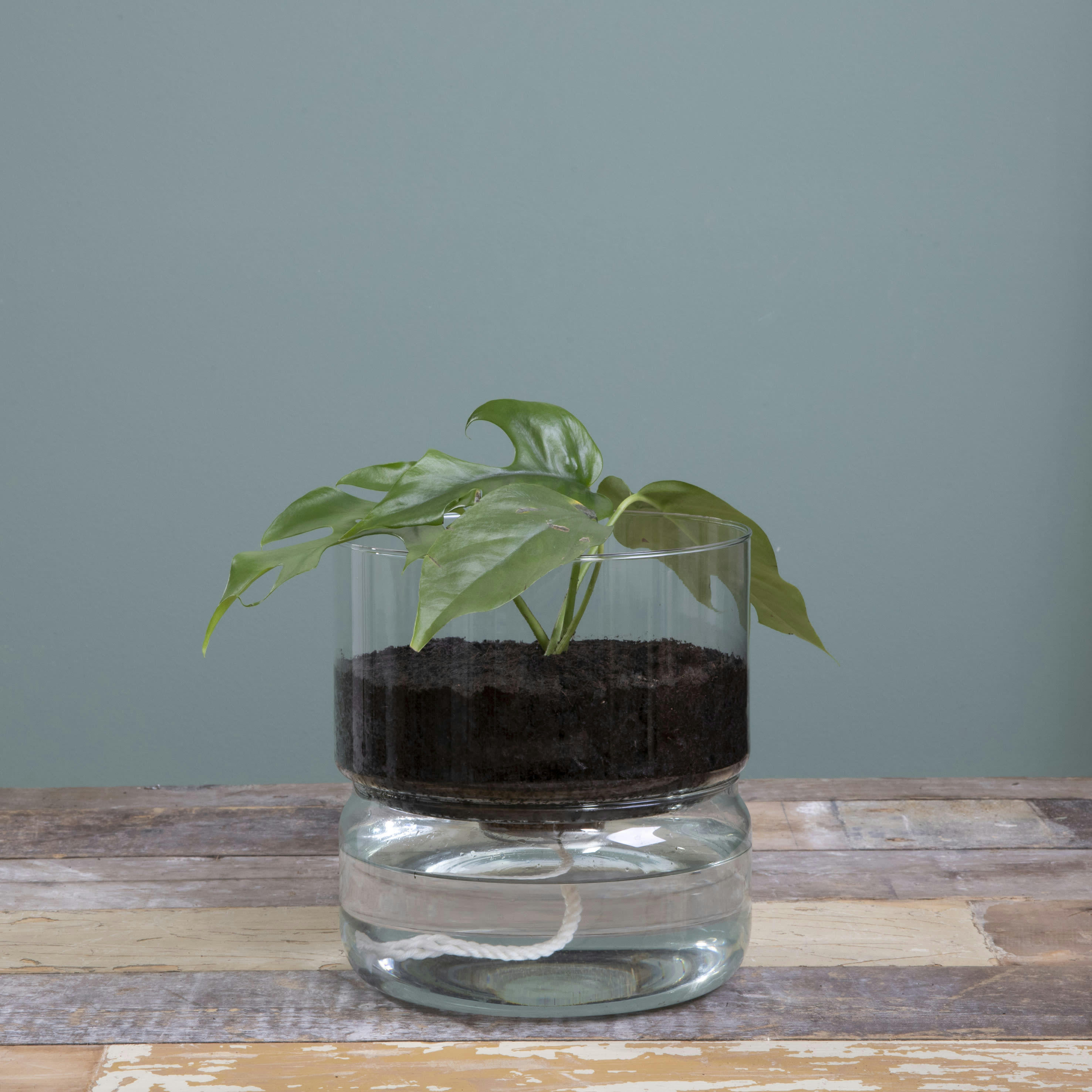 ELEMENTS - Cache-pot auto-arrosante D19