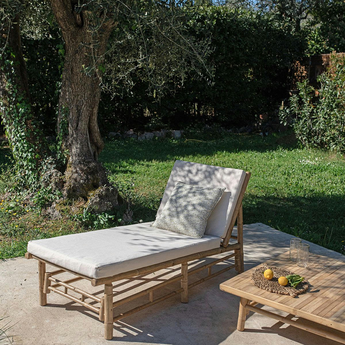 TAMAN - Transat en bambou