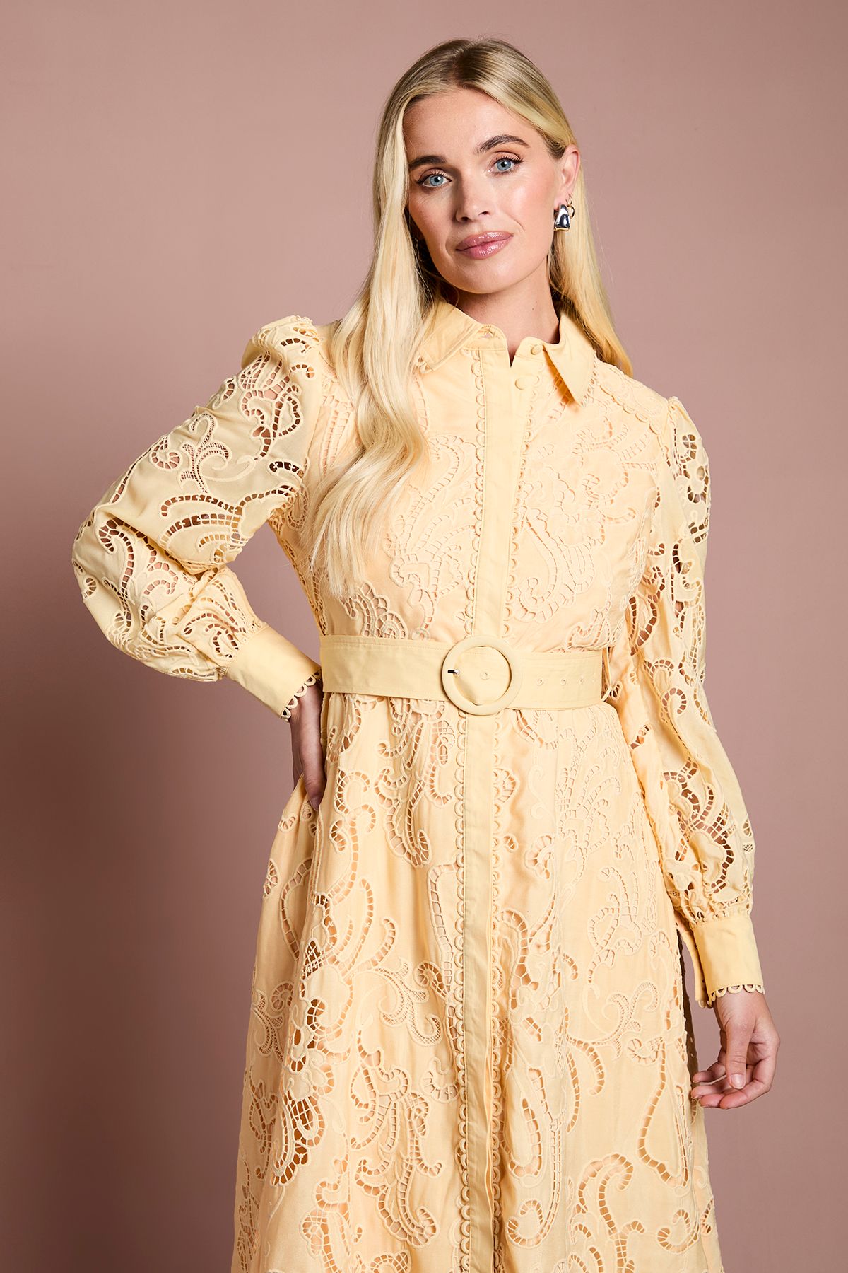 Coast Petite Embroidered Cutout Belted Shirt Dress