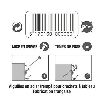 Carte de 20 aiguilles de rechange Le Crochet Francais