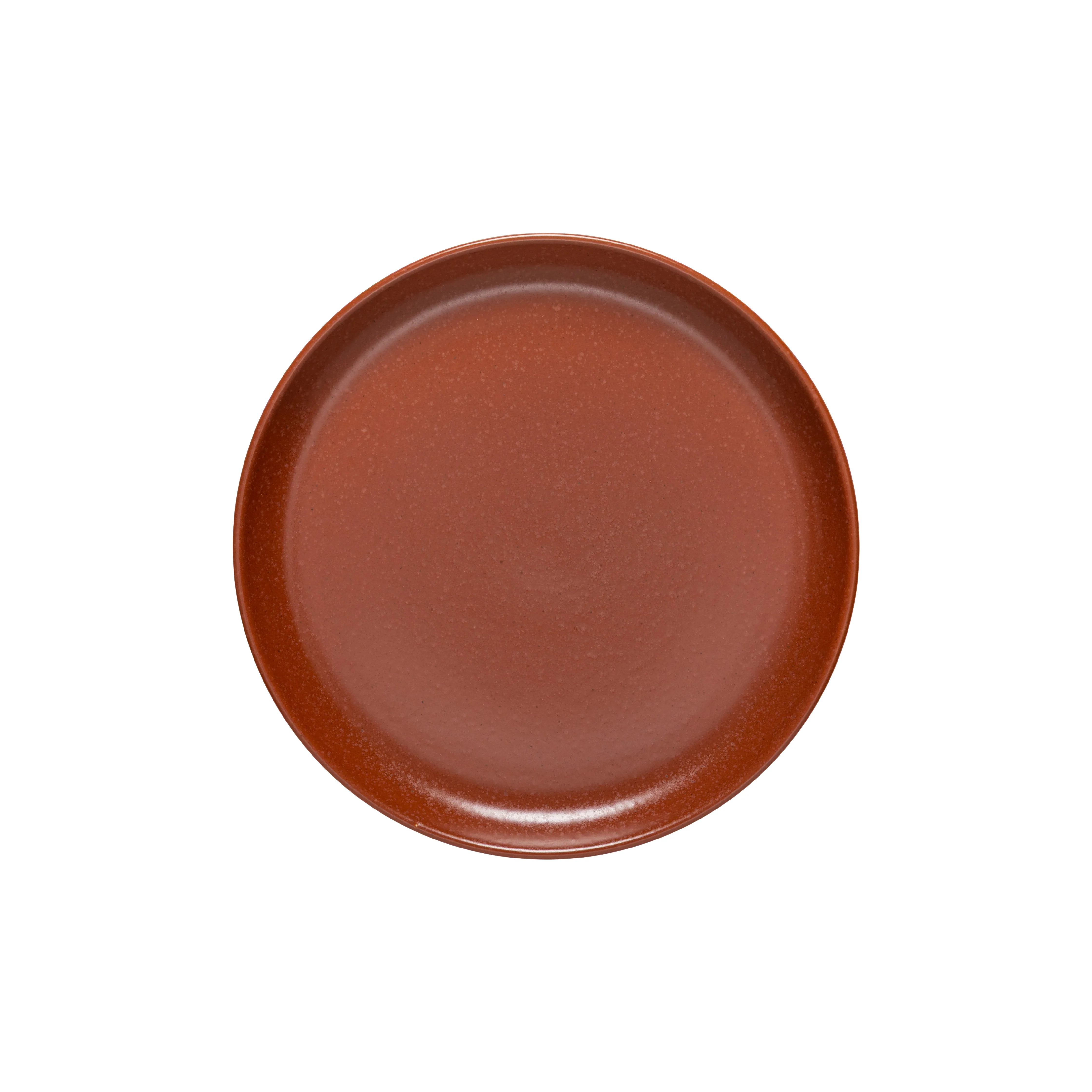 Small Dinner Plate Pacifica, Casafina by COSTA NOVA