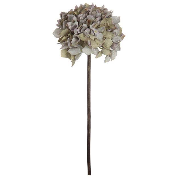 FLOR BIA HORTÊNCIA