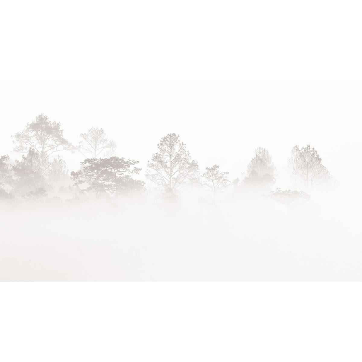 - Papier peint panoramique brumes matinales 375 x 250 cm
