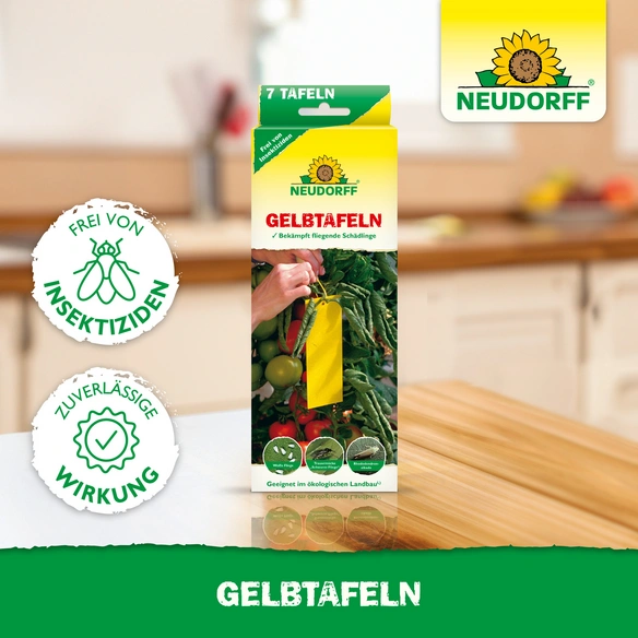 Leimfalle, Leim, 7 Stk., Bio-Qualität