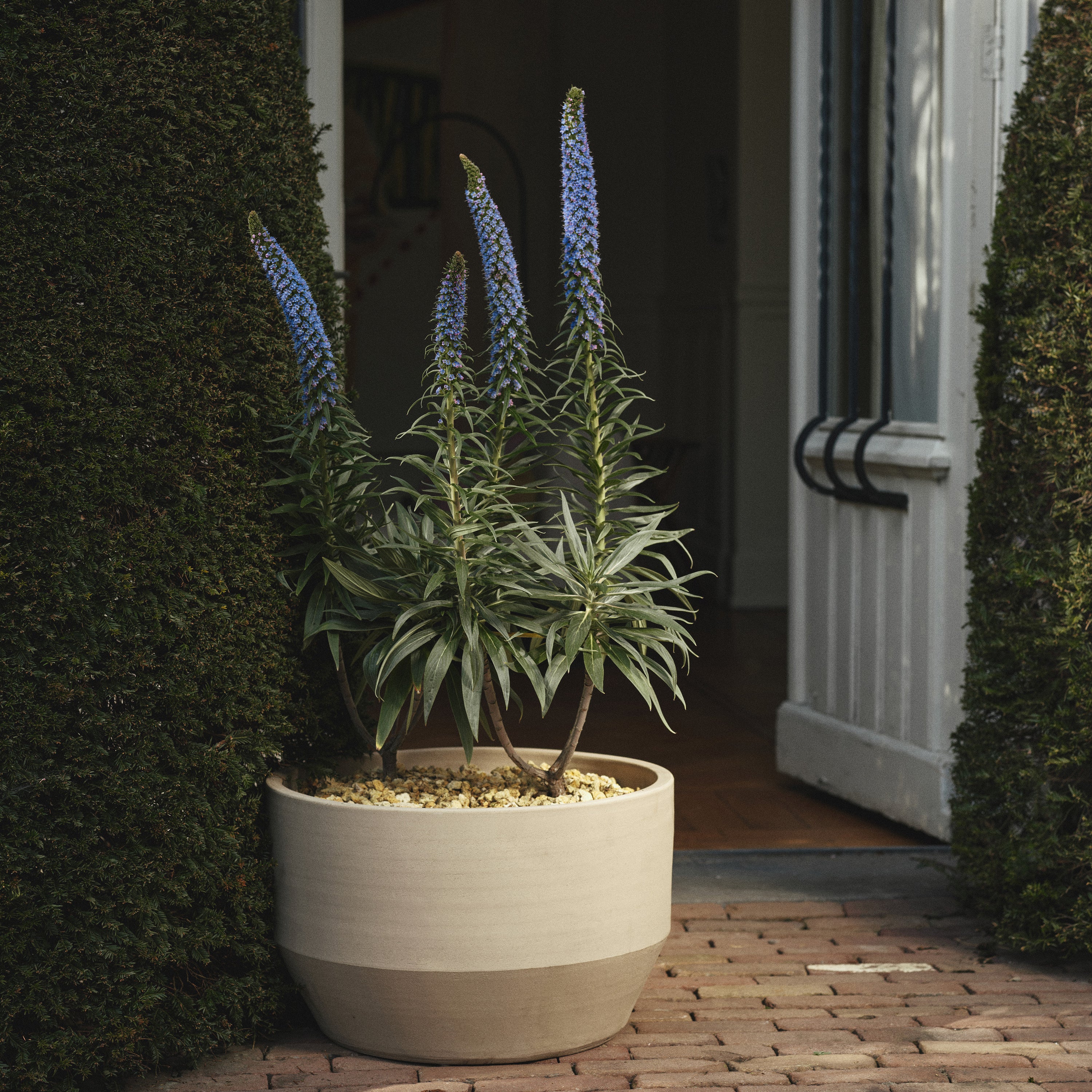 SERAX - Marie Michielssen - Construct Plantenpot M - Beige