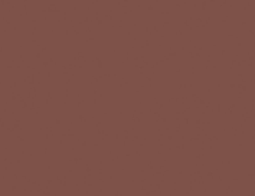 d-c-fix Klebefolie Uni Rusty Red